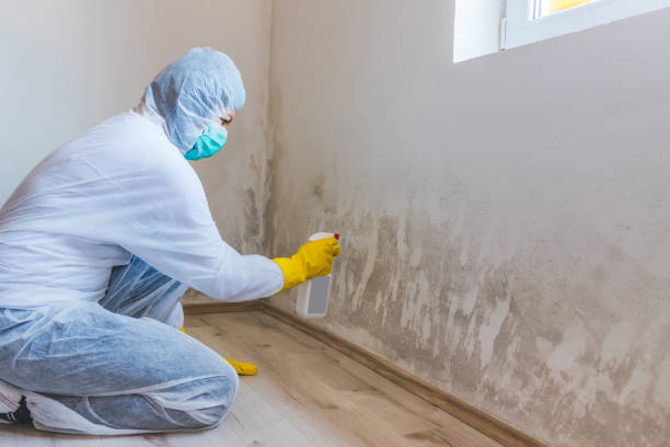 Bathroom Mold Removal assessment in Middleburg bathroom