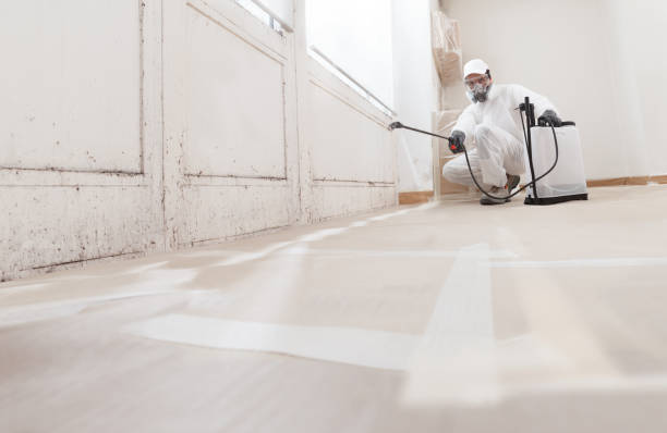 Black mold remediation team in Middleburg